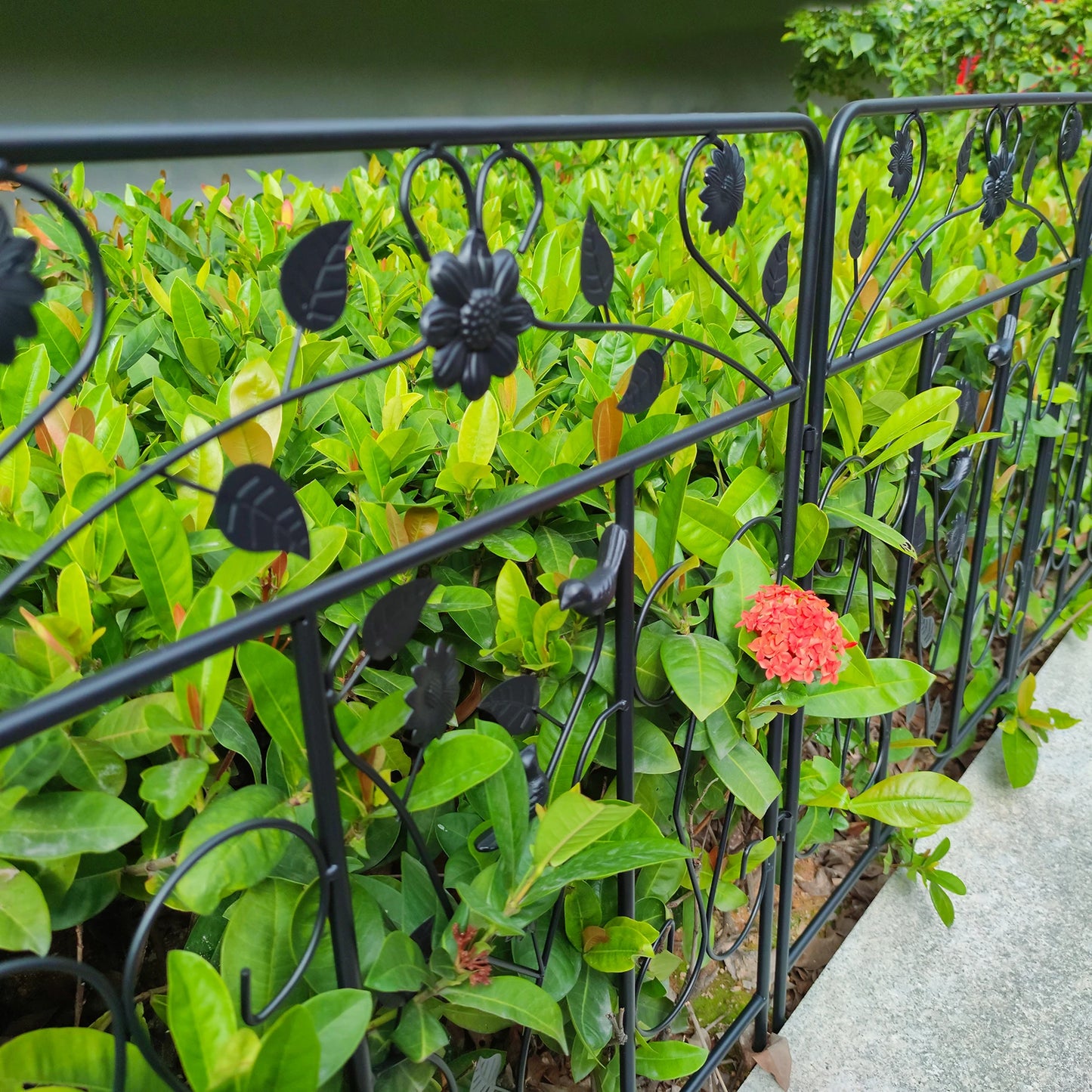 5 Pack Black Coated Steel Decorative Garden Fence Panels 32 By 24 Inch Metal Border Folding Fence
