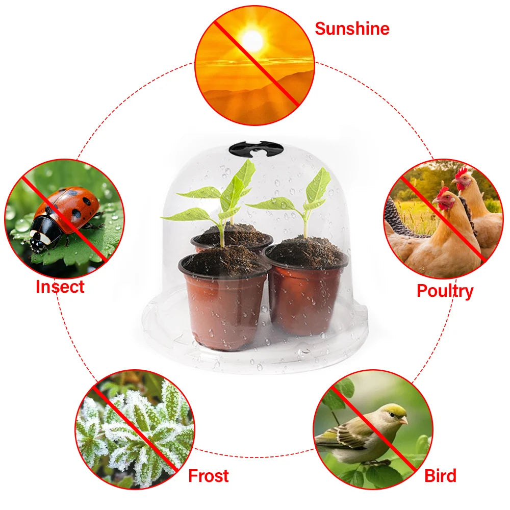 High-concerned Chemical Plant Bell Covers Reusable Plastic Greenhouse Frost Guard