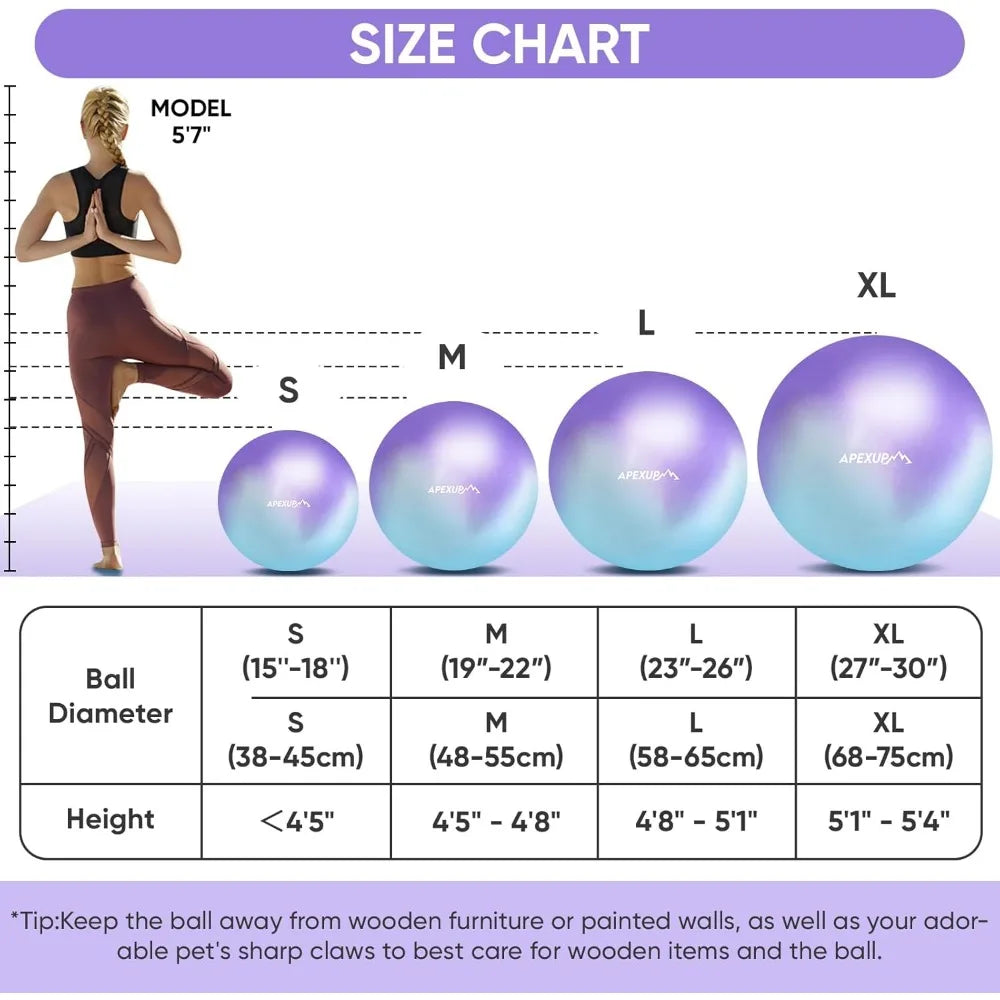 SHXI Yoga Pilates Ball Anti Slip Heavy Duty Gym Ball