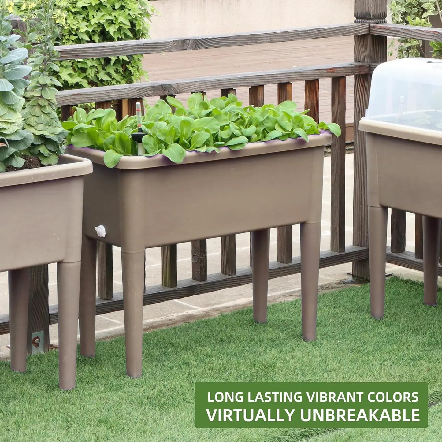 Finishing 13.2 Gallon Self Watering Raised Garden Bed With Ventilation Transparent Lid Greenhouse