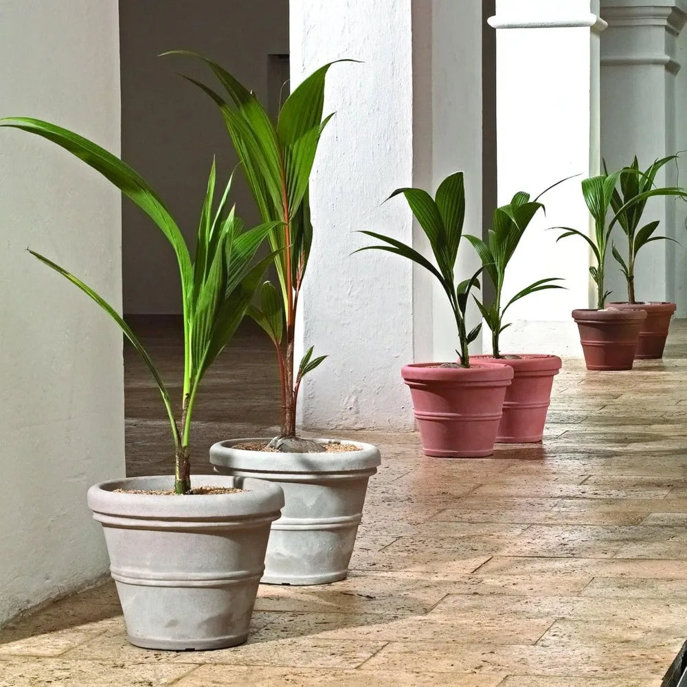 Brunello Classic Rolled Rim Planter Indoor Outdoor Weather Safe
