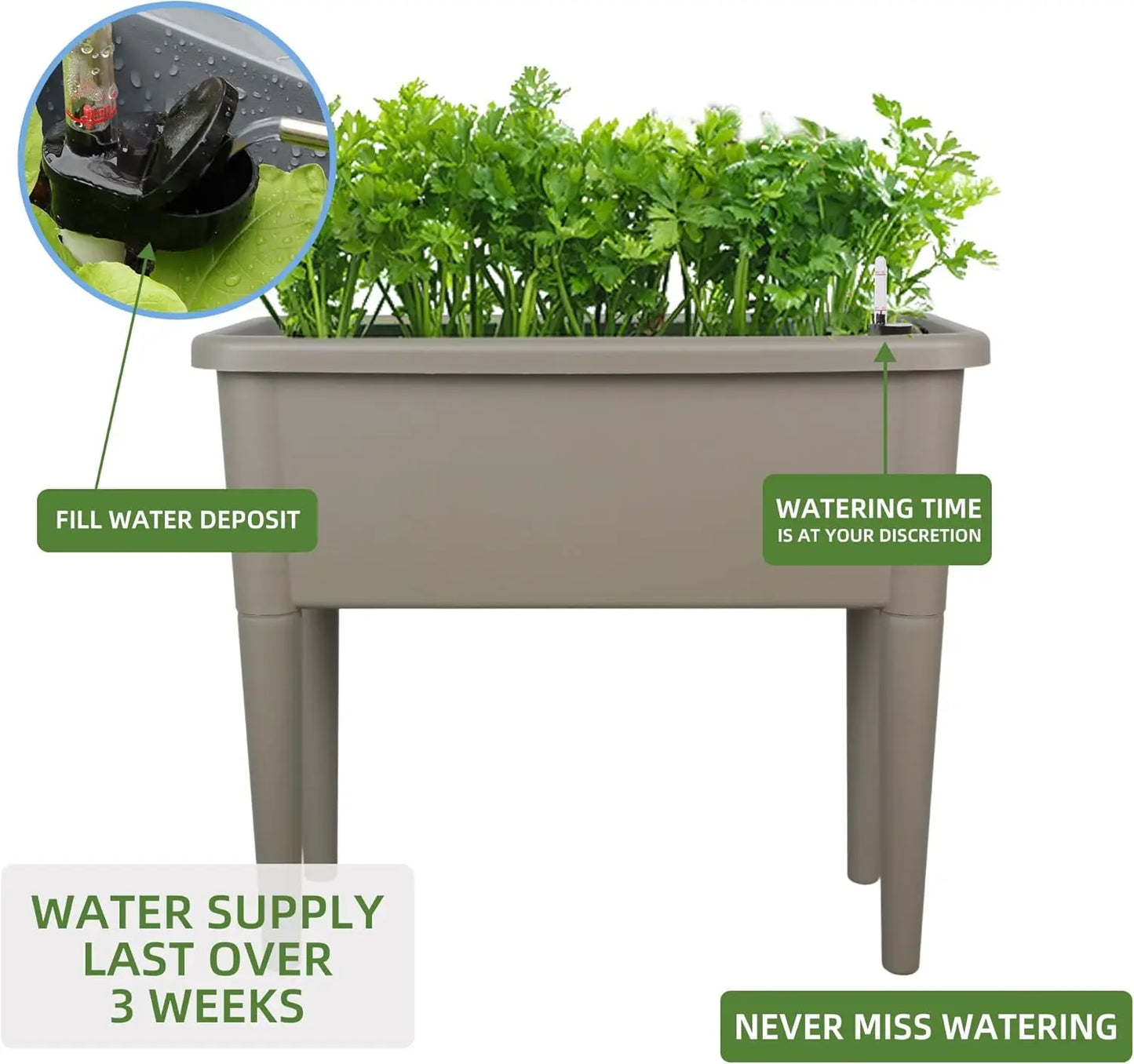 Finishing 13.2 Gallon Self Watering Raised Garden Bed With Ventilation Transparent Lid Greenhouse