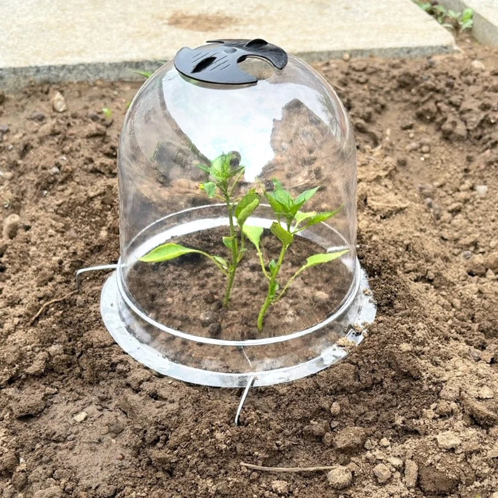 High-concerned Chemical Plant Bell Covers Reusable Plastic Greenhouse Frost Guard