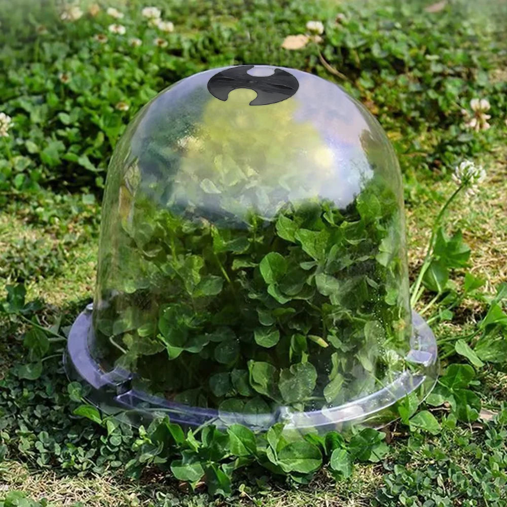High-concerned Chemical Plant Bell Covers Reusable Plastic Greenhouse Frost Guard