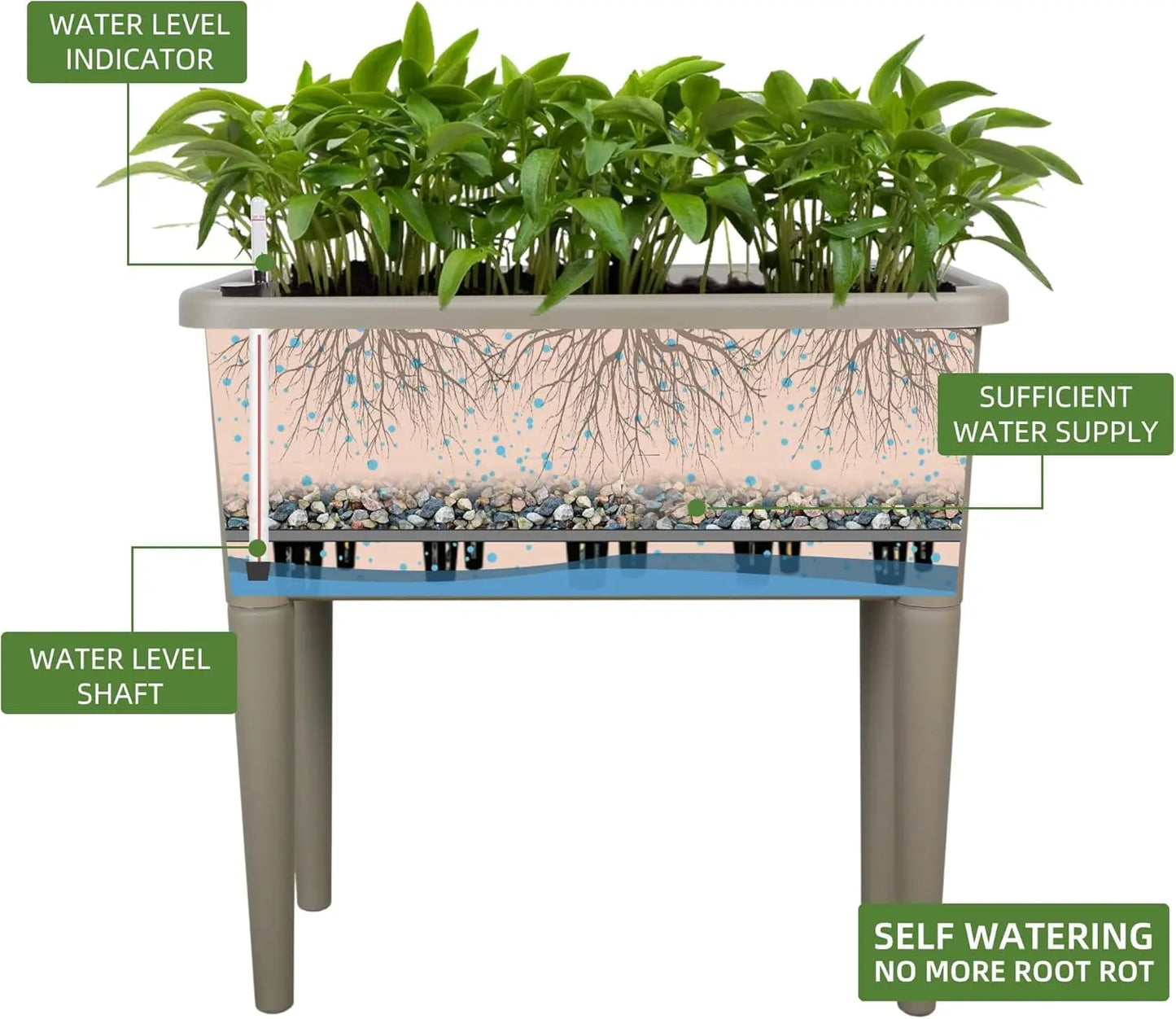 Finishing 13.2 Gallon Self Watering Raised Garden Bed With Ventilation Transparent Lid Greenhouse